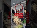 پلیس، مرد تحت تعقیبی را که روی پشت بام به خواب رفته بود، دستگیر کرد