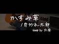 【cover】かすみ草/奇妙礼太郎 #向葵