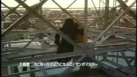 恋の門 予告編  松田龍平　酒井若菜　松尾スズキ　庵野秀明　忌野清志郎