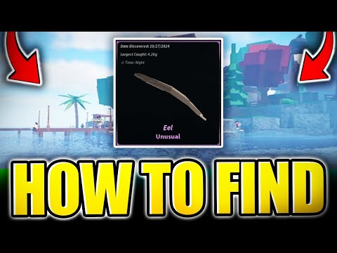 EEL LOCATION -
