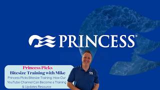Princess Picks Bitesize Training: How Our YouTube Channel Can Become a Training & Updates Resource
