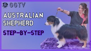 2020 Best Australian Shepherd Basic grooming 101. Easy to follow stepbystep tutorial must watch.