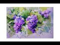 How to paint grapes in watercolor 수채화 포도그리기 Acuarela 水彩画