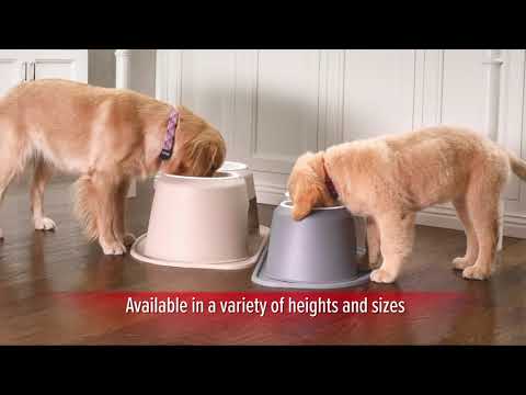 WeatherTech Pet Feeding System: Comprehensive Overview 