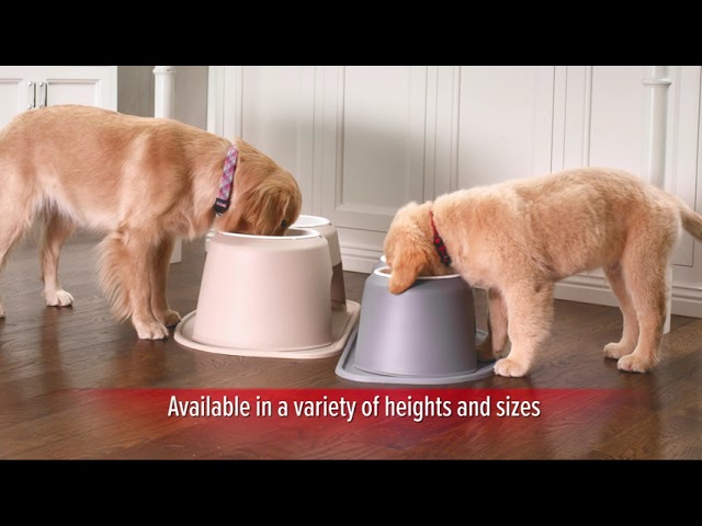 WeatherTech Pet Feeders & Water Fountains at Crutchfield