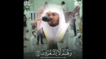 تلاوة مميزة للشيخ ياسر الدوسري.من سورة . يوسف.١٤٤٢