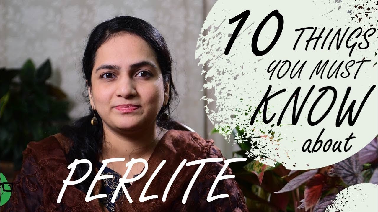 10 Things You Must Know About Perlite | Gardening Basics | #SoilStories