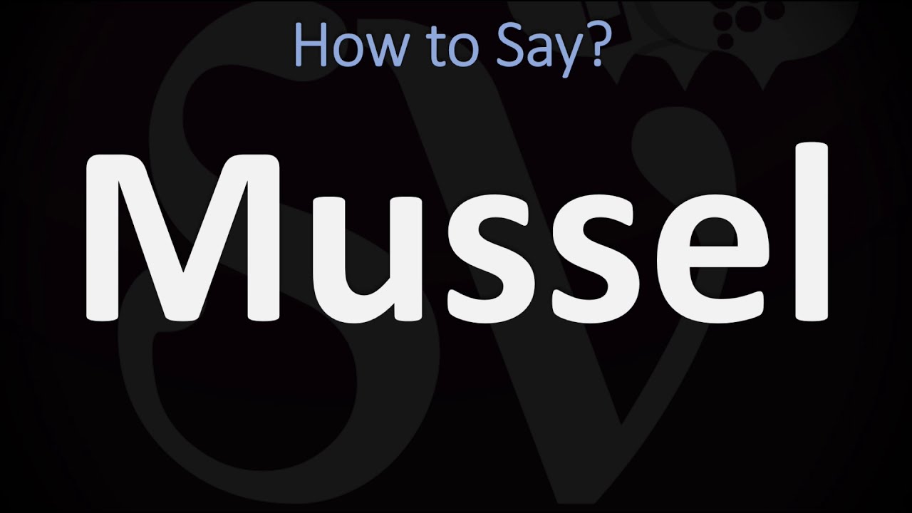 How To Pronounce Mussel? (Correctly)