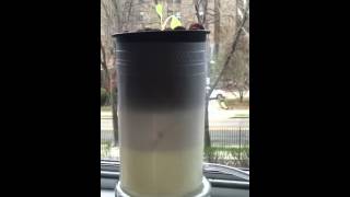Information DIY Ebb Flow Hydroponics System News