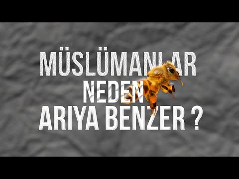 Müslümanlar Neden Arıya Benzer ? - Recep Baltacı