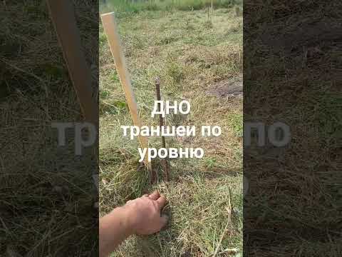 Начинаю строить новый дом