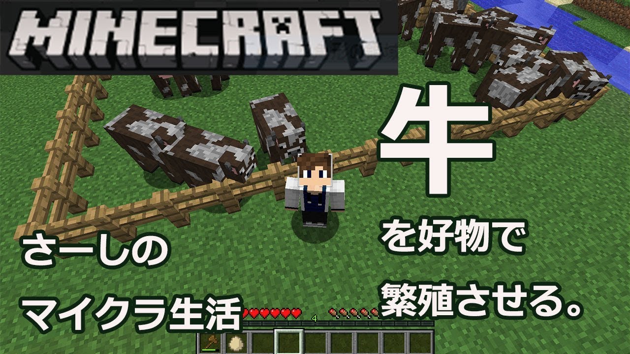 マインクラフト実況 牛の好物で誘導 繁殖させる方法 さーしのサバイバル生活part5 Minecraft Pc Java Edition Youtube