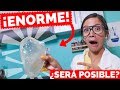 PAPAS DE CRISTAL GIGANTES ¿Será posible hacer PAPAS TRANSPARENTES? - La Cooquette