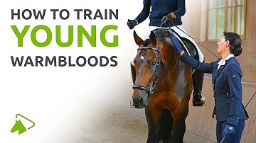 Classical Dressage: Training the Young Warmblood | wehorse