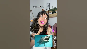 مره في بحرنا زارنا قرش مخيف Trend 