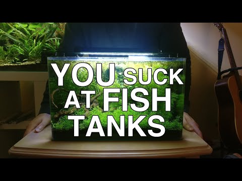 Video: Top 5 LED-aquariumverlichtingssystemen