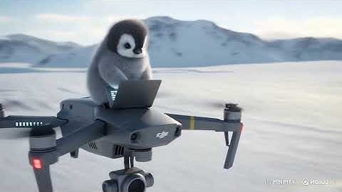 Penguin 2 0 Now with Flight