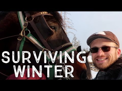 How to Survive