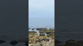 Pescando en las rocas #galicia