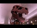 Wyoming Stone Ranger T Rex Dinosaur Rocks Rockhounding Gold Gems Meteorite Flies Through Garage