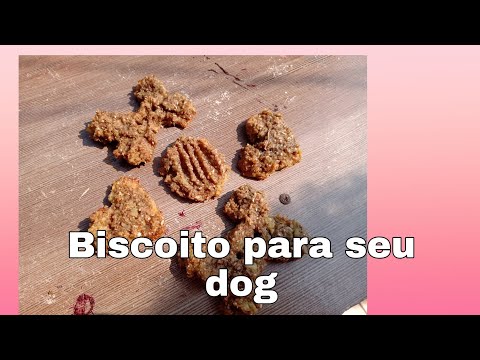 Vídeo: Cozinha honesta vai sem glúten com sua comida de cachorro desidratado