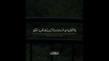 {فَلِلَّهِ الْحَمْدُ } تلاوة مؤثرة للقارئ فيصل الهاجري