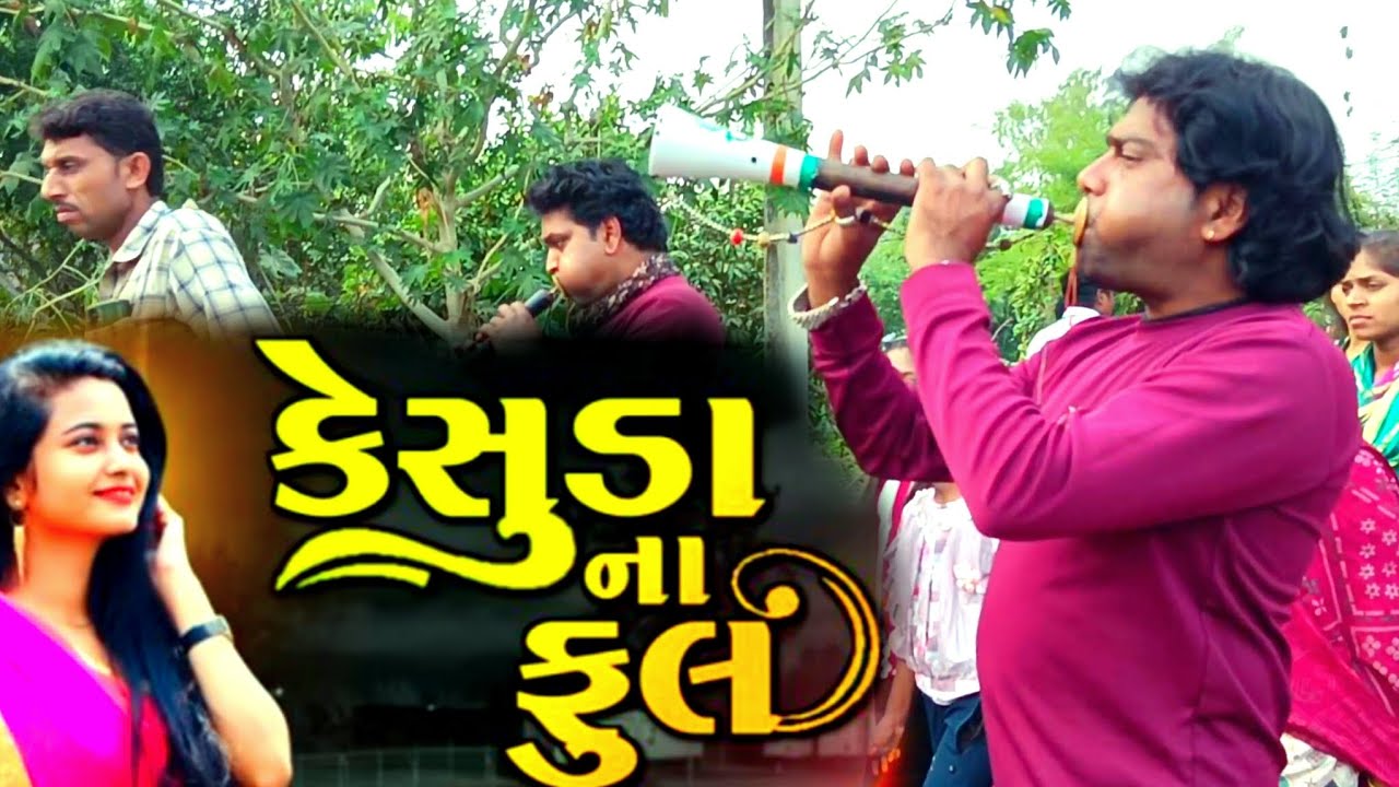 निलेश डोडवे के नया वीडियो नई टीमली के साथ 16 February 2026 Aadivasi king