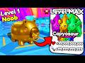 Starting Over As NOOB With NEW OP SECRET In Capybara Evolution Starting Over As NOOB With NEW OP SECRET In Capybara Evolution