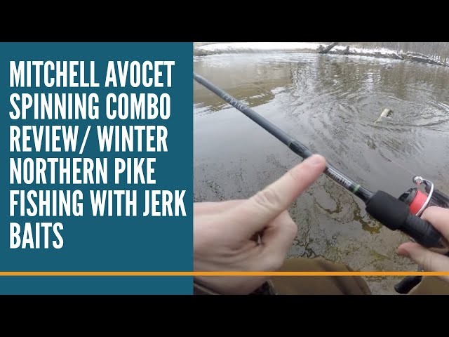 Mitchell Avocet Spinning Rod And Reel Combo Review/ Winter