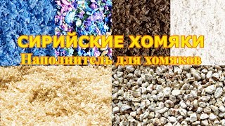 Сирийские хомяки часть 4 - Наполнитель для хомяков | Уход и содержание Сирийские хомяки часть 4 - Наполнитель для хомяков | Уход и содержание