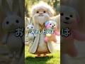 【ハラハラ】しょうじきものが得をするいけ！？レイカのこうげきでだいピンチ！
