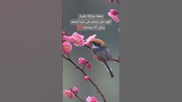 #اللهم_صل_وسلم_على_نبينا_محمد #سورة_الكهف #جمعه_مباركه