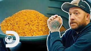 Rick Ness Has His BIGGEST Ever Gold Haul! | Gold Rush