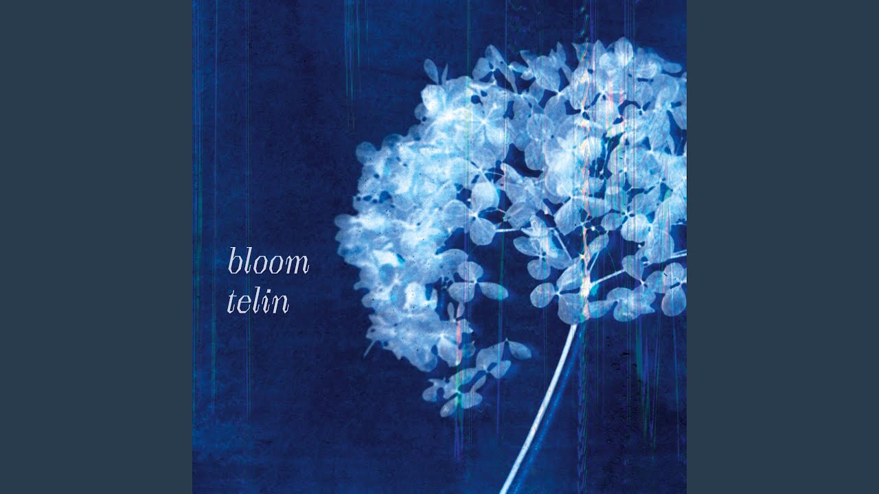 Bloom