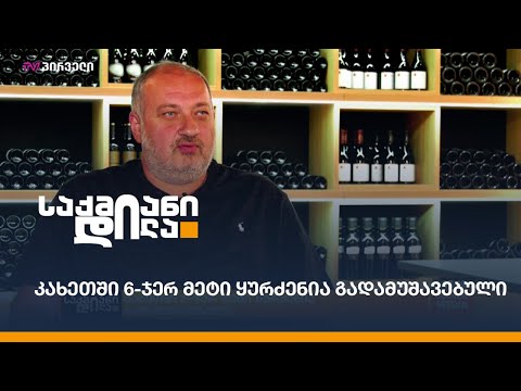 კახეთში 6-ჯერ მეტი ყურძენია გადამუშავებული