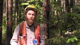 Imri: Forest Apprentice (2018)