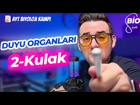 Duyu Organları-2 Kulak | Ayt Biyoloji Konu Anlatımı 11. Sınıf | 2024