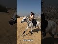 Others Horse Riding #bome #trending #respect