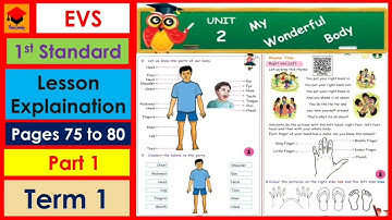 1st Std- EVS- Unit 2- My Wonderful body- Part 1- Pages 75 to 80-Term 1- Lesson explaination in tamil