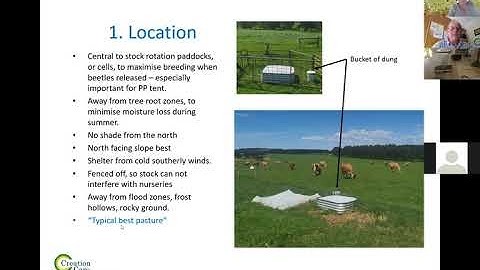 Dung beetle spring species webinar | Port Phillip & Westernport CMA