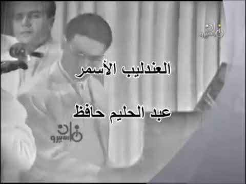 لا تكذبي عبد الحليم حافظ