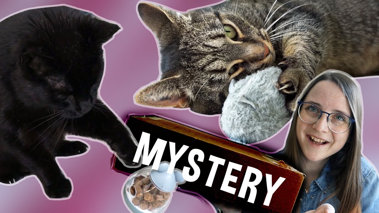 LYKKEPOSER.. Men til katte?! 🙀🐱