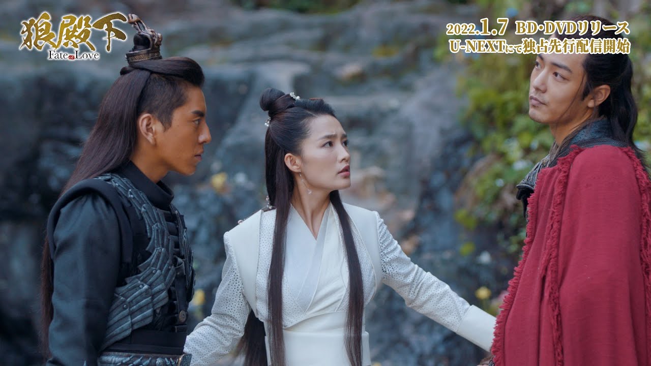 忘羨 肖戦 ② 2023年 32歳のお誕生日 | 陳情愛