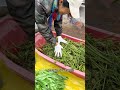 Daily Forest Wins: Unleash Your Potential, Every Day