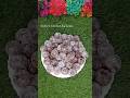 Amla Ke Healthy Laddu #ytshorts #viralshort #shortfeed #trendingshorts #recipe #cooking #easyrecipe