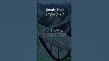 وما يستوي الأعمى والبصير #سورة_فاطر #علاء_عقل