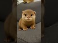 Videos of Cute Animals compilation. #cuteanimals  #amazinganimals