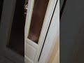 Nord Imbiancature / Imbianchino Milano 3703208009 Stuccatura porte in legno #home #art #like