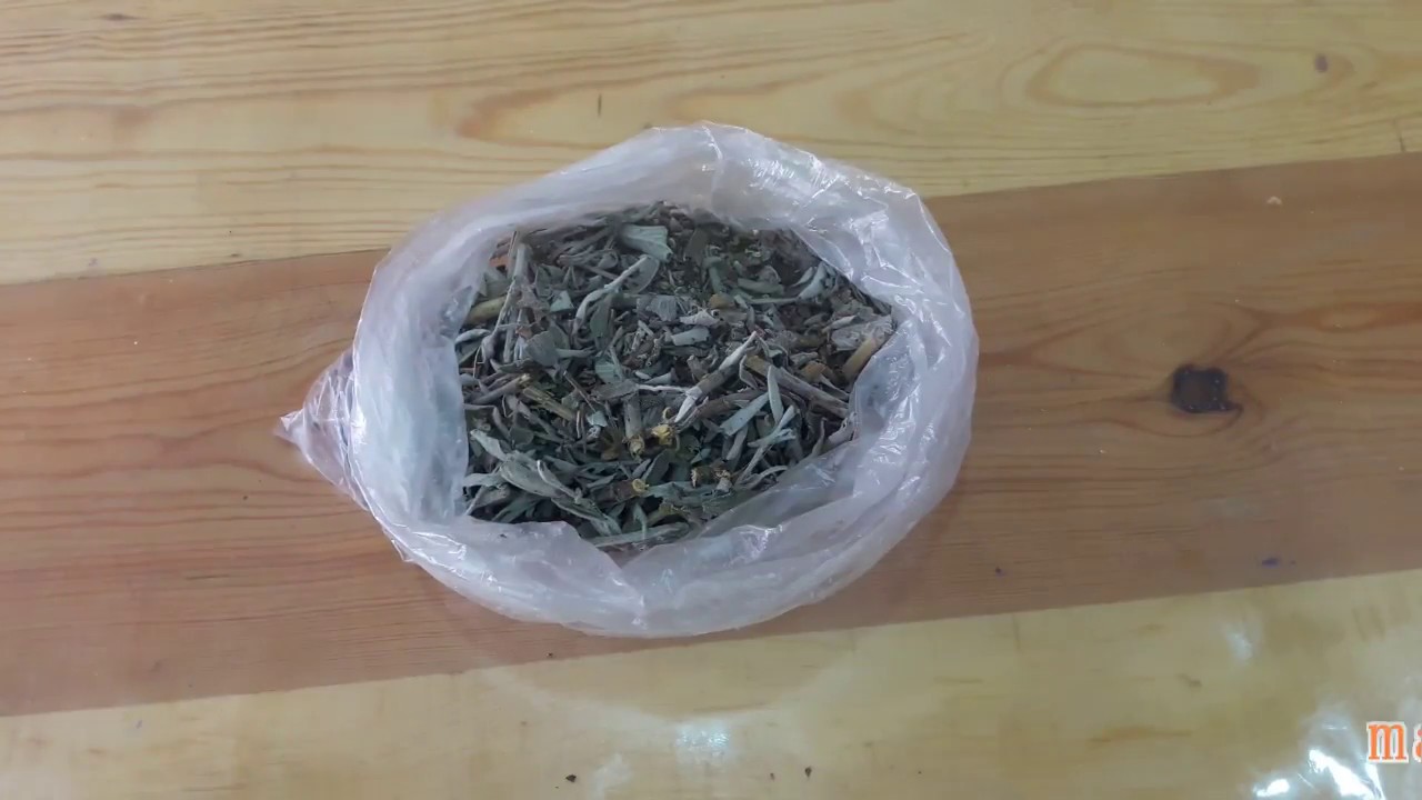 علاج الإلتهابات و الحكة والسيلان و الرائحة و تنظيم الدورة بعشبة واحدة