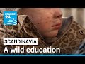 Scandinavia forest kindergartens a wild education  france 24 english